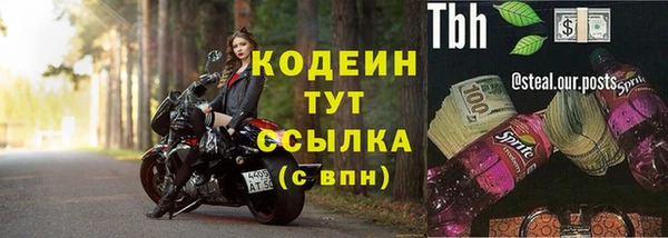 ECSTASY Пестово